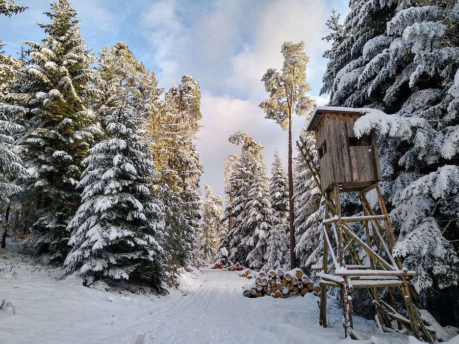 Winter im Nordschwarzwald